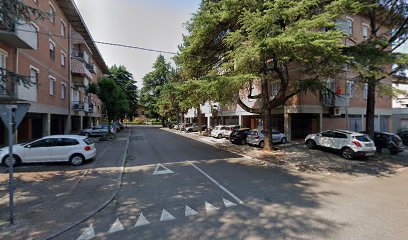 Toelettatura Belvedere Di Ferrari Claudia