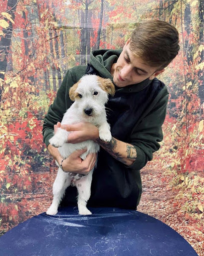 Toelettatura Bonazzi