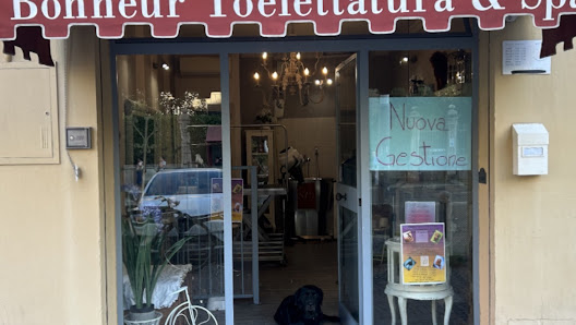 Toelettatura Bonheur & Spa di Gnocchi Salvatore