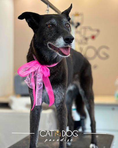 Toelettatura CAT N DOG Paradise