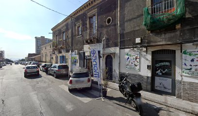 Toelettatura Cani E Gatti