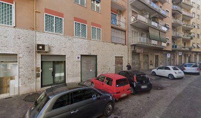 Toelettatura Cani e Gatti