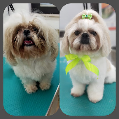 Toelettatura Chien de Luxe