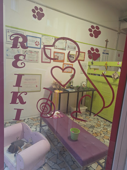 Toelettatura Claudia Nami