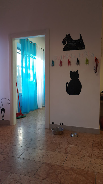 Toelettatura Coda di Moda