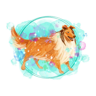 Toelettatura Code Fatate