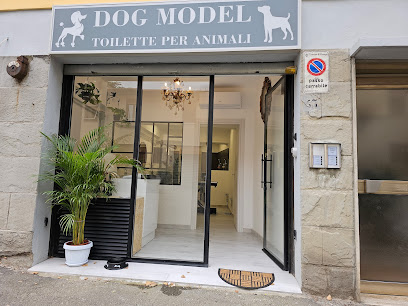 Toelettatura DOG MODEL
