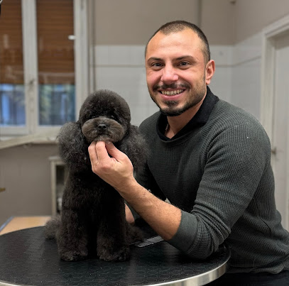 Toelettatura Da Arold