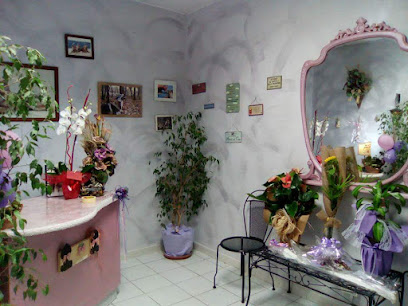 Toelettatura Da Elena Livorno