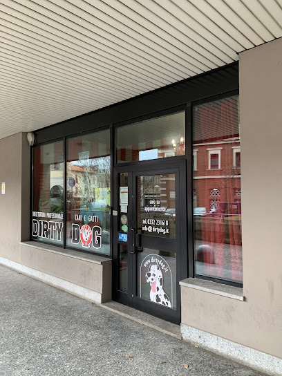 Toelettatura Dirty Dog