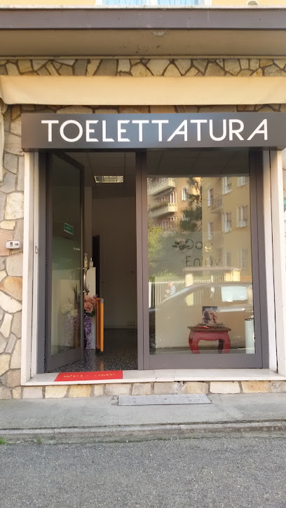 Toelettatura Dog Enjoy