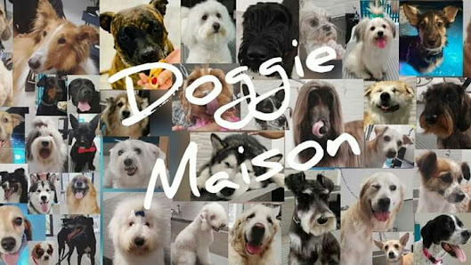 Toelettatura Doggie Maison