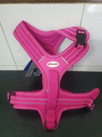 Toelettatura Dolce Bagnetto