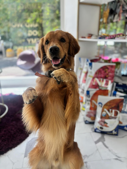 Toelettatura FELLOWS Dogs & Cats Boutique Brescia