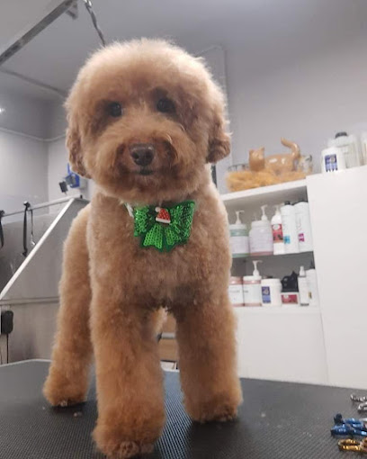 Toelettatura GSR Grooming Studio Revolution