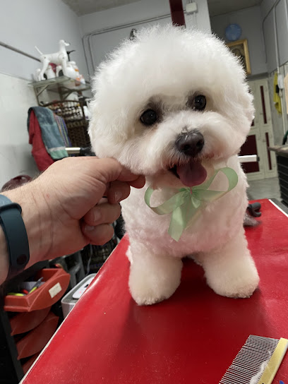 Toelettatura Gli Amici di Melindo