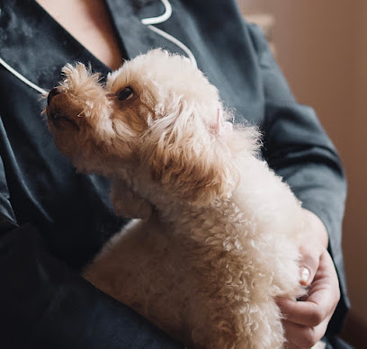 Toelettatura Il Cucciolo
