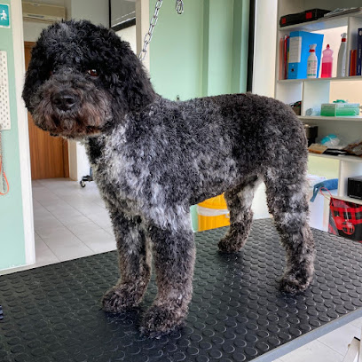 Toelettatura Inugami