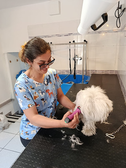 Toelettatura La Casa di Simba