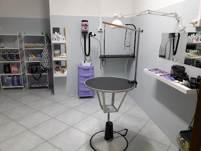 Toelettatura La Fauna