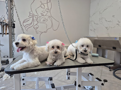 Toelettatura Labramor