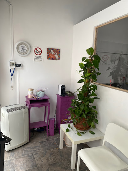 Toelettatura Le Code Vanitose