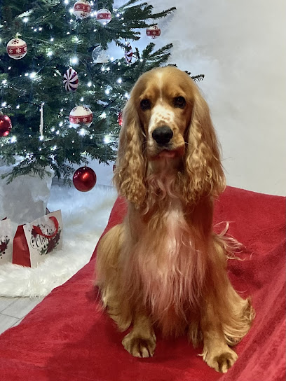 Toelettatura Melanie Grooming