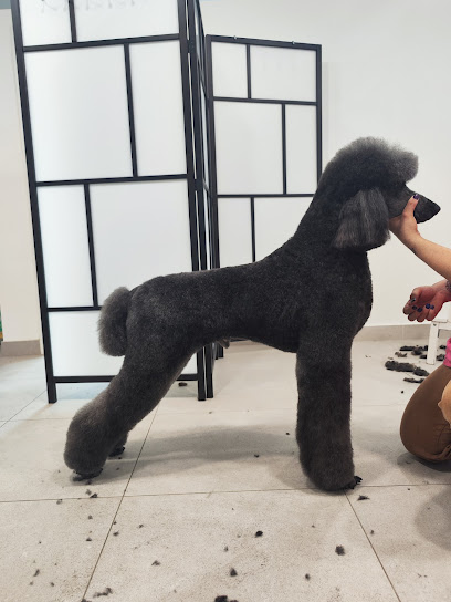 Toelettatura Mondo Baffo