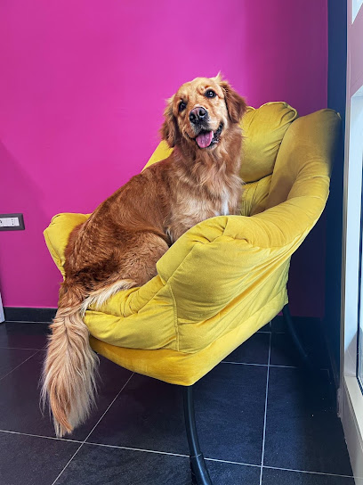 Toelettatura Musini Puliti