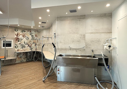 Toelettatura Pelomagia s.r.l. - Self Service e Tradizionale