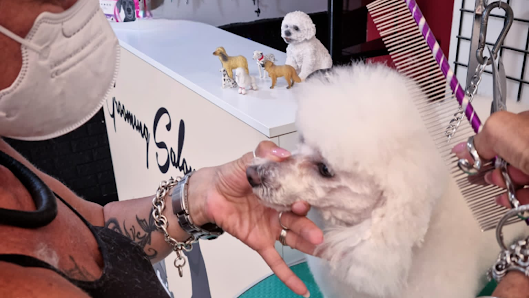 Toelettatura Pelomagia