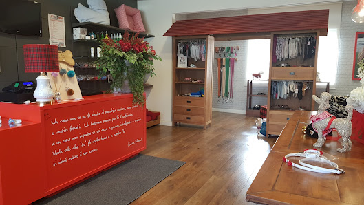 Toelettatura Petit Jo