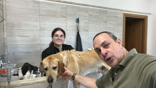 Toelettatura Roma Est