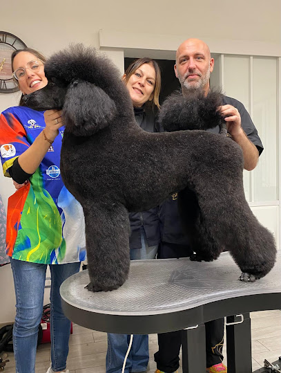 Toelettatura Rufus Trieste