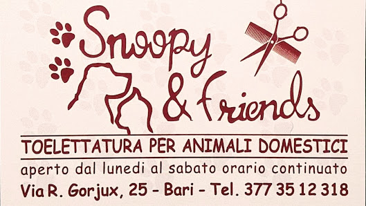 Toelettatura Snoopy & friends