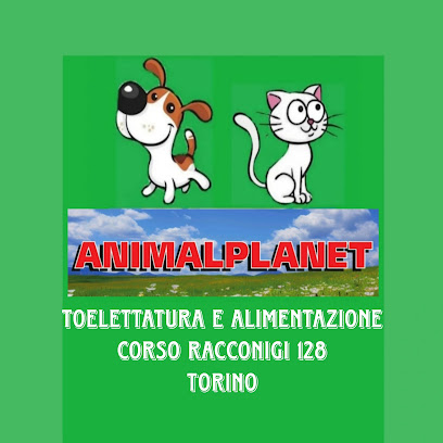Toelettatura Torino ANIMALPLANET