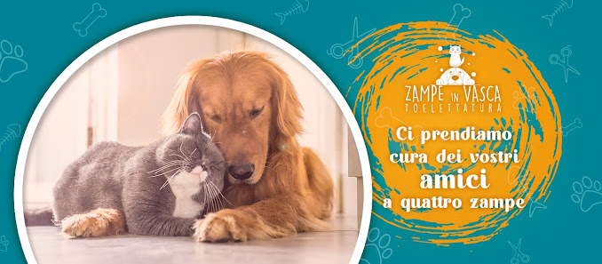 Toelettatura Zampe in Vasca