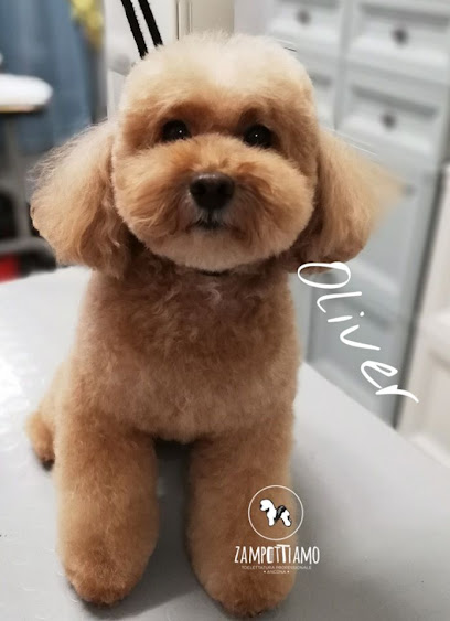 Toelettatura Zampettiamo cani e gatti di Rinalo Rosalba Ancona