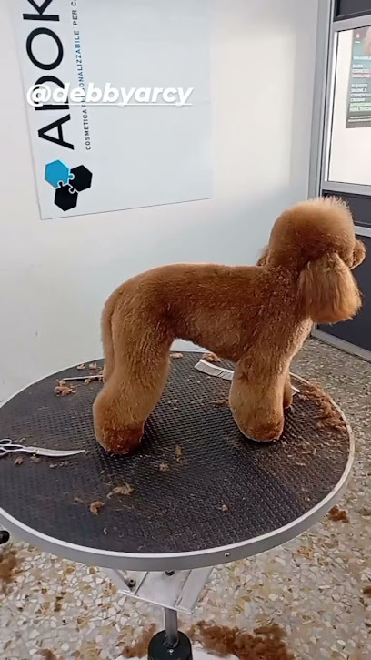 Toelettatura Zoe Grooming Antonino La Piana