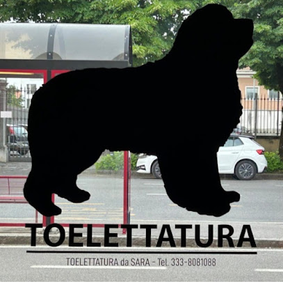 Toelettatura da Sara
