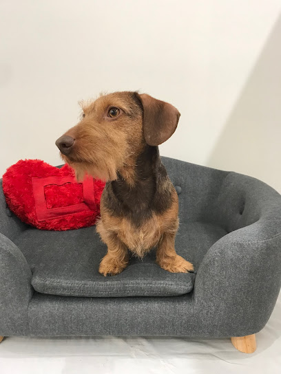 Toelettatura da Zia Betty