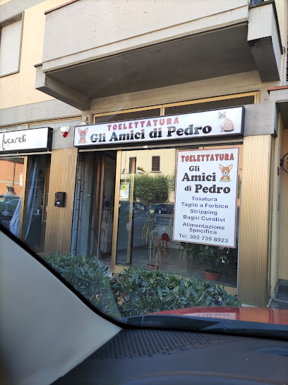Toelettatura gli Amici di Pedro