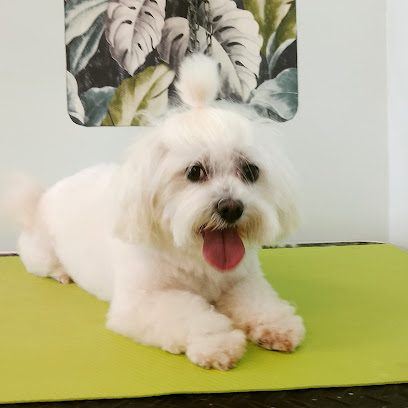 Toelettatura il parco