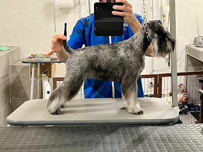 Toelettatura professionale decimo meridio