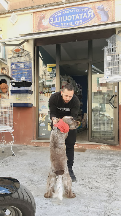 Toelettatura spa ratatouille pet shop Palermo