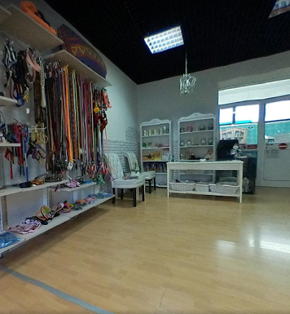 Toelette MaremmaCane Grosseto