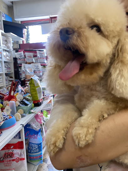 Toilette per cani Roma