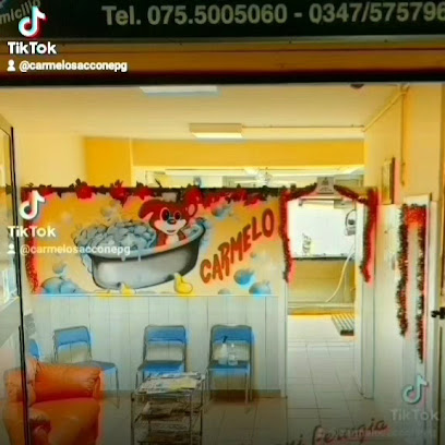 Toletta Cani e Gatti Carmelo