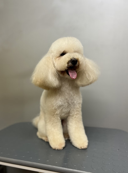 Tutti puliti, tutti felici