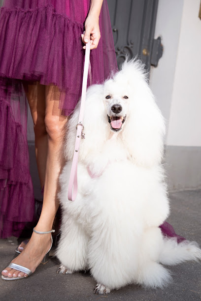 Ukkia Pet Boutique e Toelettatura